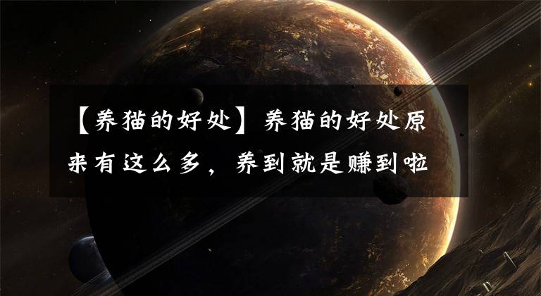 【养猫的好处】养猫的好处原来有这么多，养到就是赚到啦