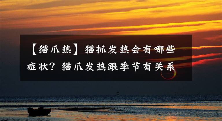 【猫爪热】猫抓发热会有哪些症状？猫爪发热跟季节有关系吗？