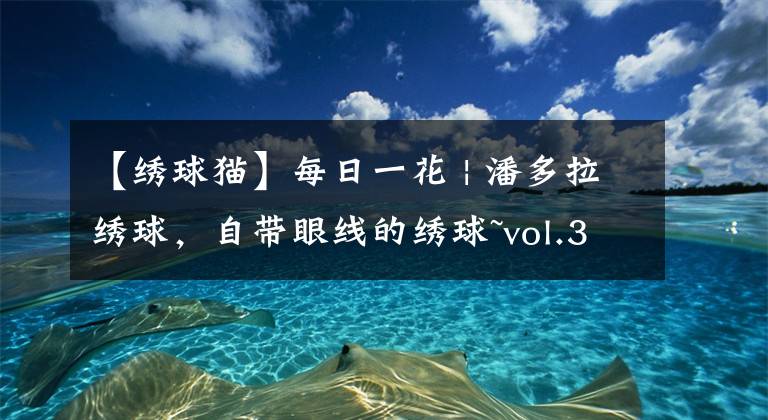 【绣球猫】每日一花 | 潘多拉绣球，自带眼线的绣球~vol.32