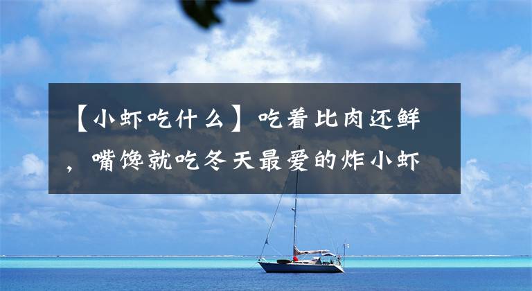 【小虾吃什么】吃着比肉还鲜，嘴馋就吃冬天最爱的炸小虾