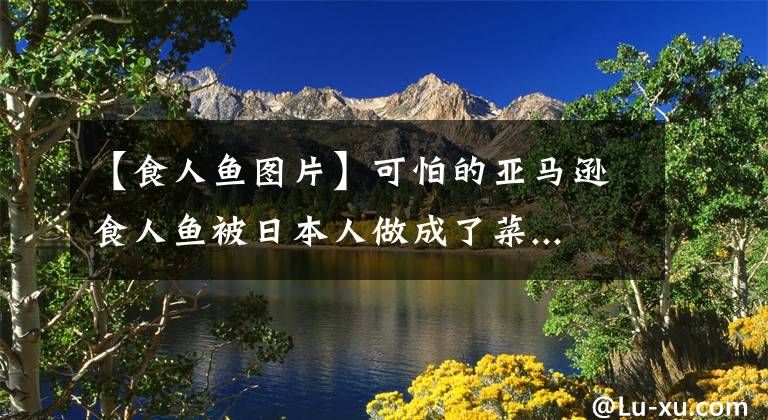 【食人鱼图片】可怕的亚马逊食人鱼被日本人做成了菜... 食人鱼：我也有今天