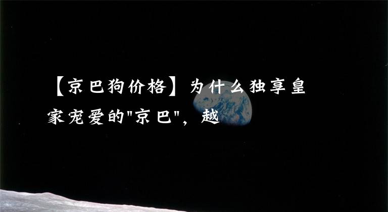 【京巴狗价格】为什么独享皇家宠爱的"京巴"，越来越少人养？