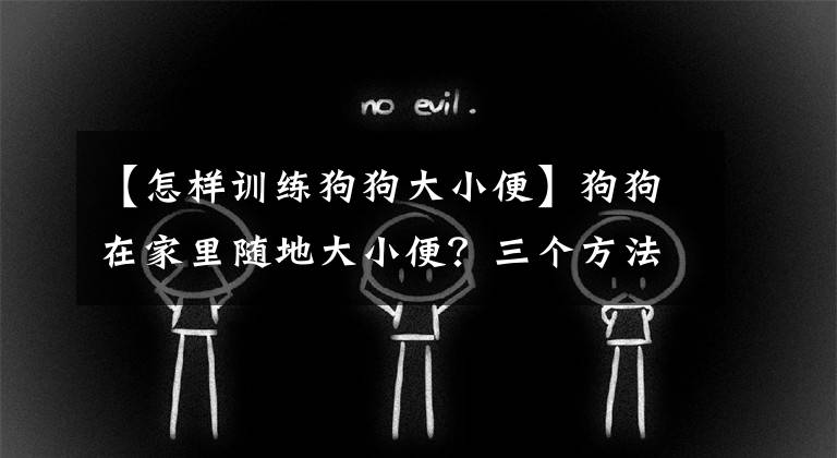 【怎样训练狗狗大小便】狗狗在家里随地大小便？三个方法教你训练狗狗到固定地方大小便