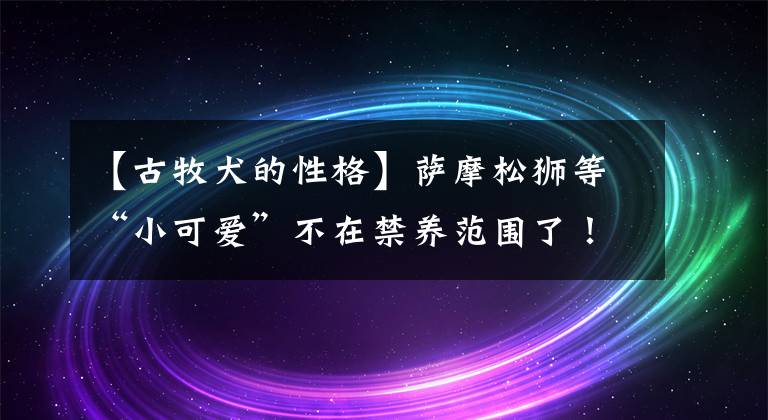 【古牧犬的性格】萨摩松狮等“小可爱”不在禁养范围了！《德州市禁养犬名录》第二次公开征求意见…