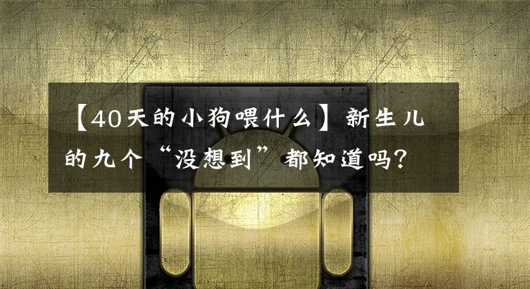 【40天的小狗喂什么】新生儿的九个“没想到”都知道吗？
