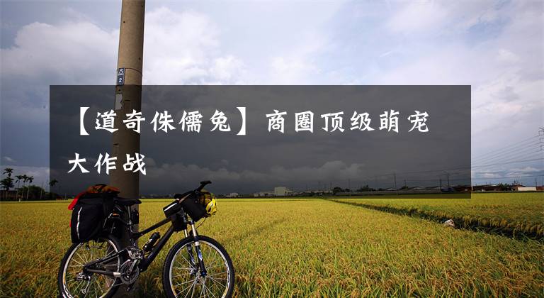 【道奇侏儒兔】商圈顶级萌宠大作战
