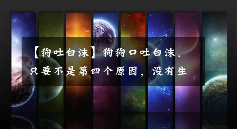 【狗吐白沫】狗狗口吐白沫，只要不是第四个原因，没有生命危险