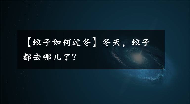 【蚊子如何过冬】冬天，蚊子都去哪儿了？