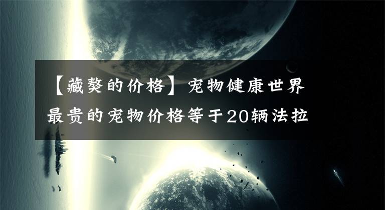【藏獒的价格】宠物健康世界最贵的宠物价格等于20辆法拉利最后一只藏獒都比不了