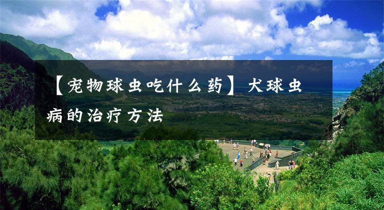 【宠物球虫吃什么药】犬球虫病的治疗方法