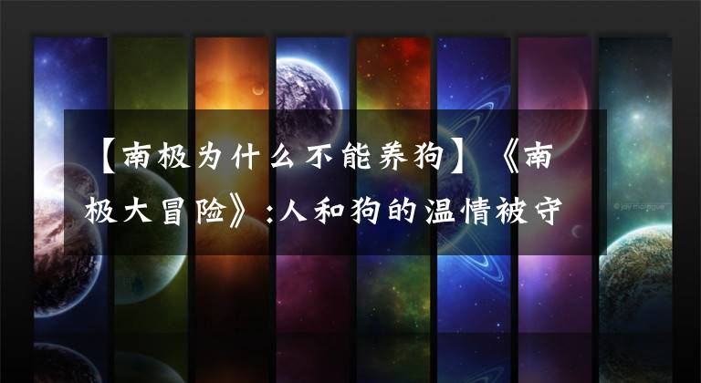 【南极为什么不能养狗】《南极大冒险》:人和狗的温情被守护