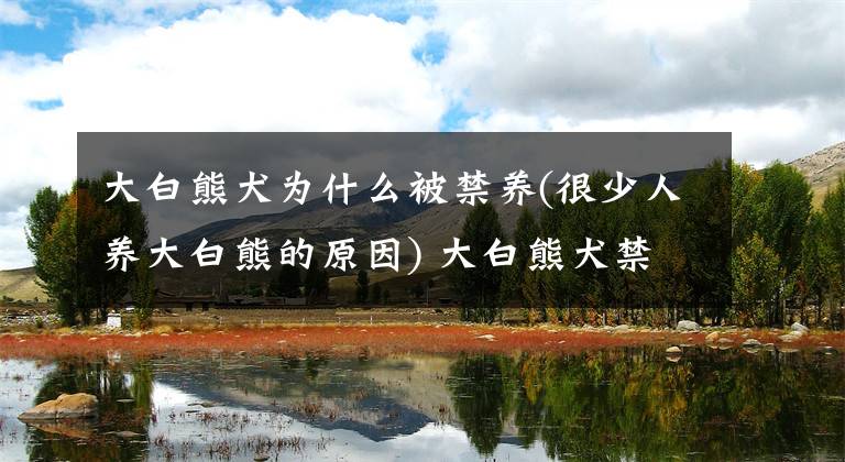 大白熊犬为什么被禁养(很少人养大白熊的原因) 大白熊犬禁养么