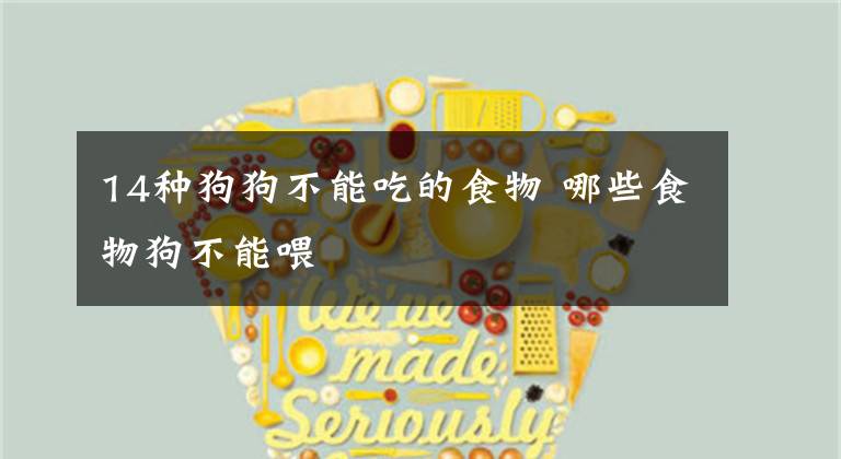 14种狗狗不能吃的食物 哪些食物狗不能喂