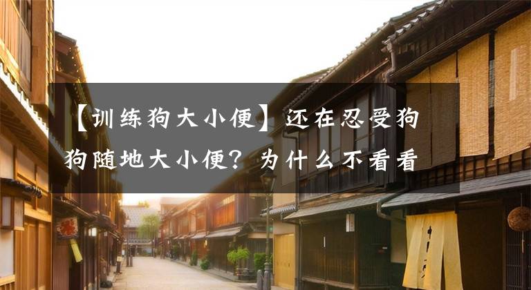 【训练狗大小便】还在忍受狗狗随地大小便？为什么不看看这篇训练文