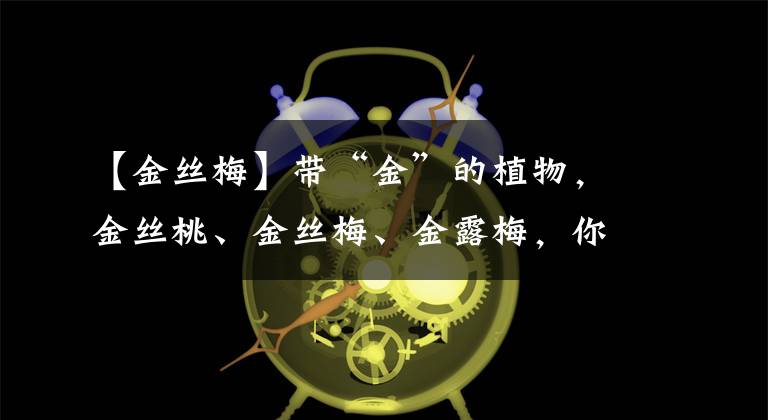 【金丝梅】带“金”的植物，金丝桃、金丝梅、金露梅，你都分得清吗