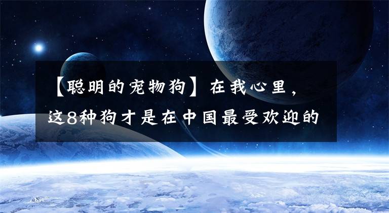 【聪明的宠物狗】在我心里，这8种狗才是在中国最受欢迎的