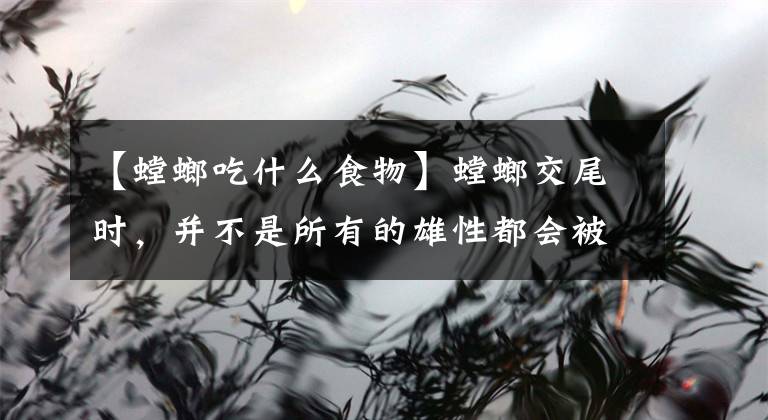【螳螂吃什么食物】螳螂交尾时，并不是所有的雄性都会被吃掉，就看它是否聪明很重要