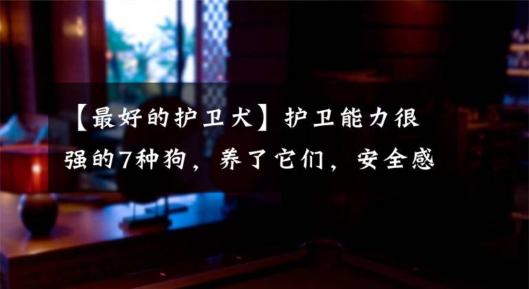 【最好的护卫犬】护卫能力很强的7种狗，养了它们，安全感满满