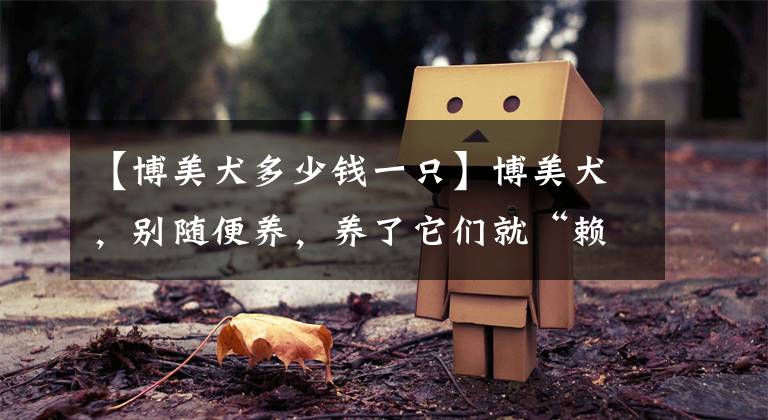 【博美犬多少钱一只】博美犬，别随便养，养了它们就“赖上你”了