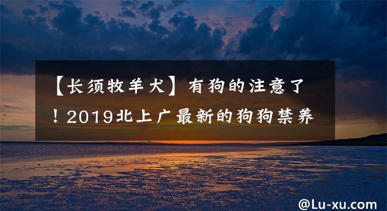 【长须牧羊犬】有狗的注意了！2019北上广最新的狗狗禁养名单都在这了