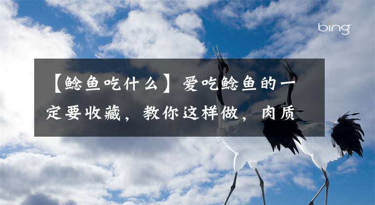 【鲶鱼吃什么】爱吃鲶鱼的一定要收藏，教你这样做，肉质鲜美，超好吃