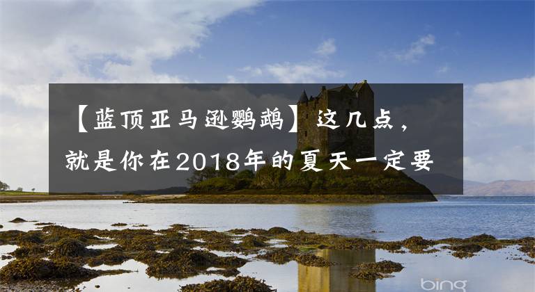 【蓝顶亚马逊鹦鹉】这几点，就是你在2018年的夏天一定要去沙巴的理由