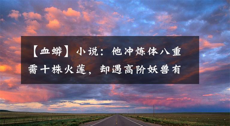 【血蟒】小说：他冲炼体八重需十株火莲，却遇高阶妖兽有孕，心善留她一株