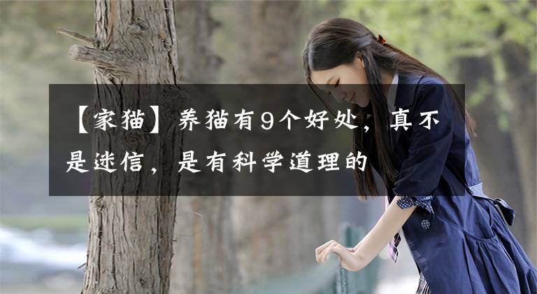 【家猫】养猫有9个好处，真不是迷信，是有科学道理的