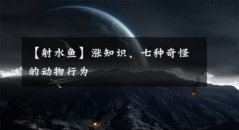 【射水鱼】涨知识，七种奇怪的动物行为