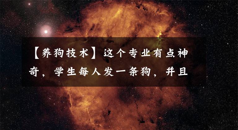【养狗技术】这个专业有点神奇，学生每人发一条狗，并且全国只有1所大学开设