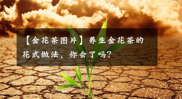 【金花茶图片】养生金花茶的花式做法，你会了吗？