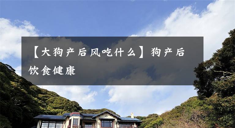 【大狗产后风吃什么】狗产后饮食健康