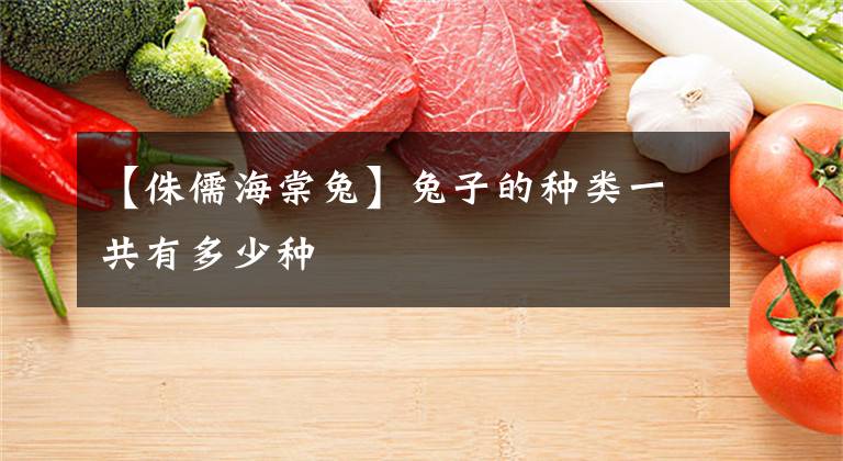 【侏儒海棠兔】兔子的种类一共有多少种