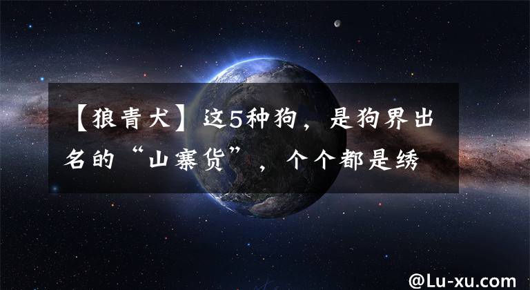 【狼青犬】这5种狗，是狗界出名的“山寨货”，个个都是绣花枕头
