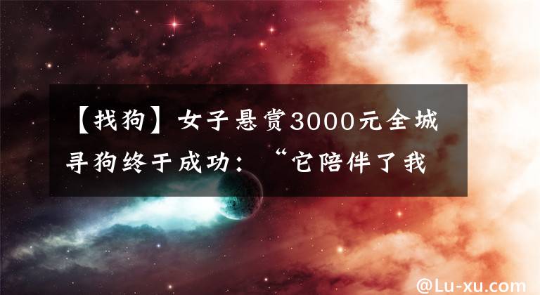 【找狗】女子悬赏3000元全城寻狗终于成功：“它陪伴了我五年青春”