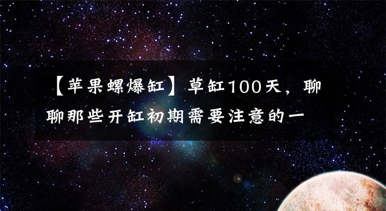 【苹果螺爆缸】草缸100天，聊聊那些开缸初期需要注意的一些事情