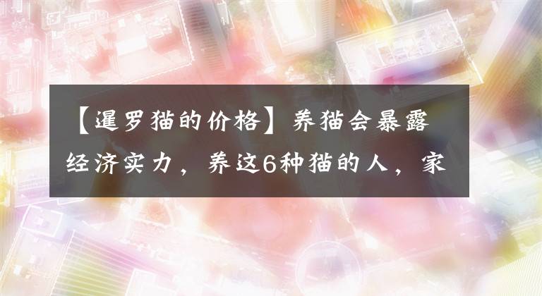【暹罗猫的价格】养猫会暴露经济实力，养这6种猫的人，家里都有矿