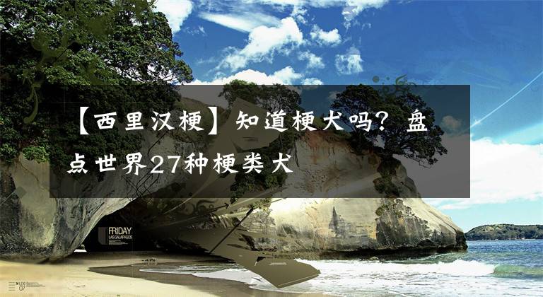 【西里汉梗】知道梗犬吗？盘点世界27种梗类犬