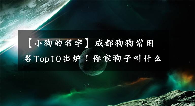 【小狗的名字】成都狗狗常用名Top10出炉！你家狗子叫什么？