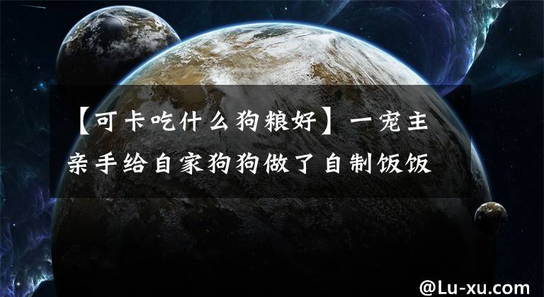 【可卡吃什么狗粮好】一宠主亲手给自家狗狗做了自制饭饭，网友：好有爱，真想买两盒！