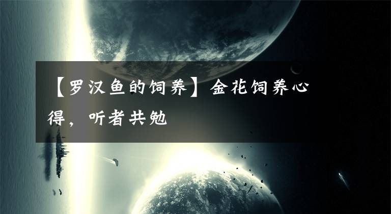 【罗汉鱼的饲养】金花饲养心得，听者共勉