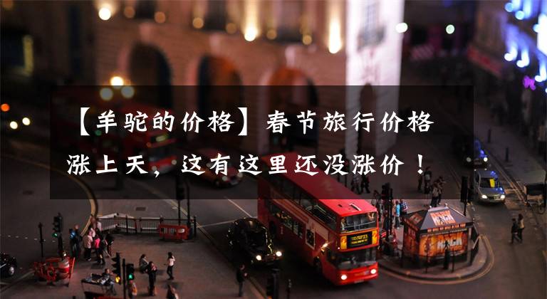 【羊驼的价格】春节旅行价格涨上天，这有这里还没涨价！