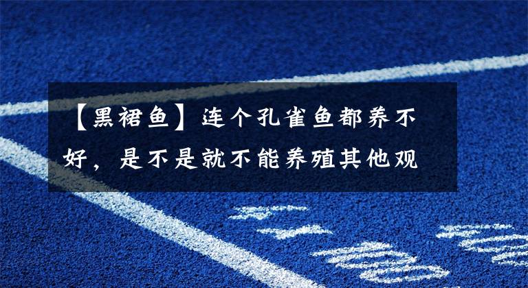 【黑裙鱼】连个孔雀鱼都养不好，是不是就不能养殖其他观赏鱼了？