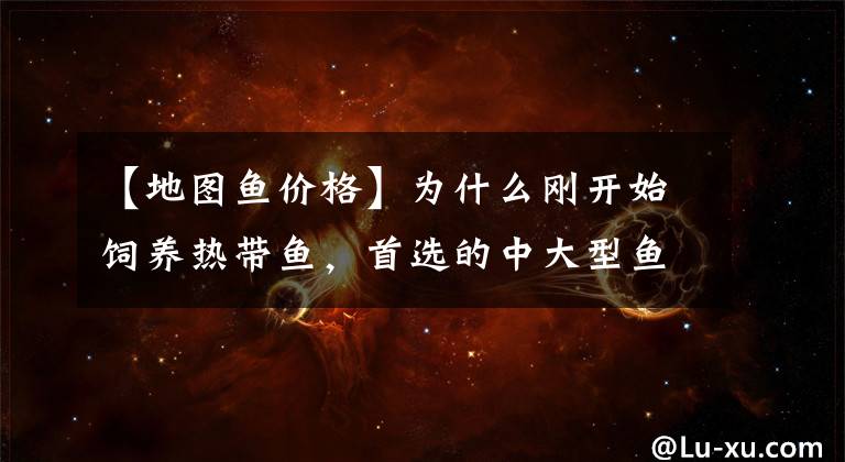 【地图鱼价格】为什么刚开始饲养热带鱼，首选的中大型鱼是鹦鹉、地图和银龙？