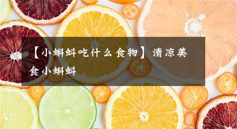 【小蝌蚪吃什么食物】清凉美食小蝌蚪