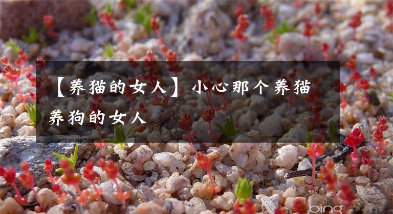 【养猫的女人】小心那个养猫养狗的女人