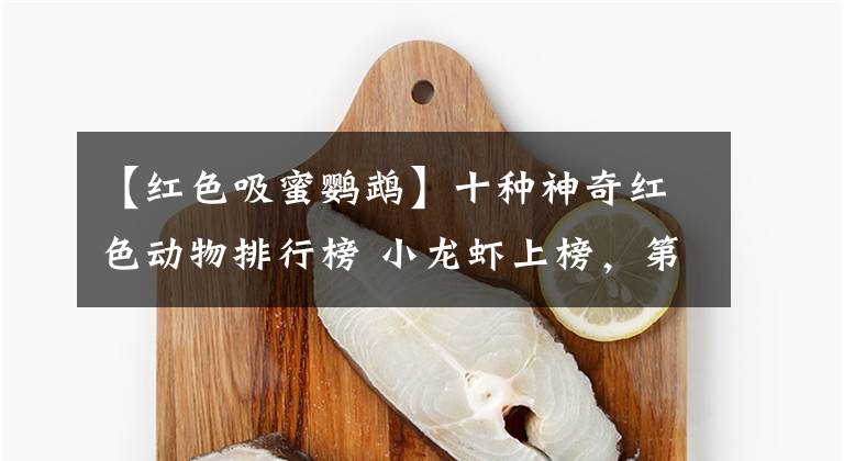 【红色吸蜜鹦鹉】十种神奇红色动物排行榜 小龙虾上榜，第七被称为“财神鱼”