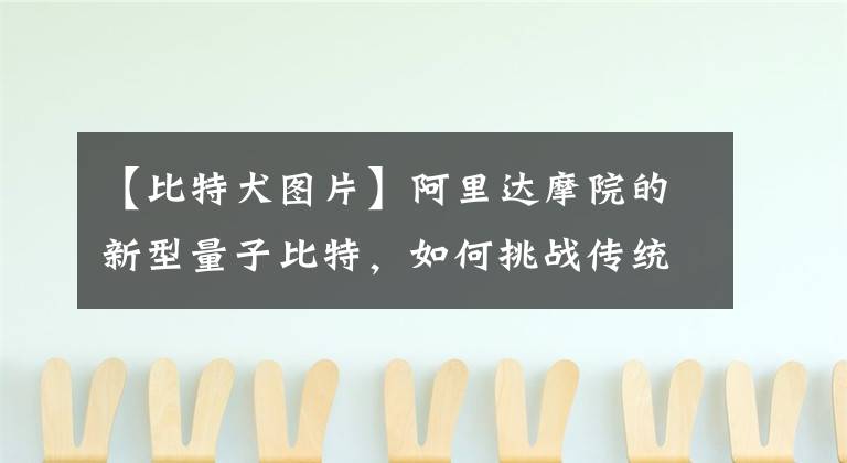 【比特犬图片】阿里达摩院的新型量子比特，如何挑战传统量子比特？