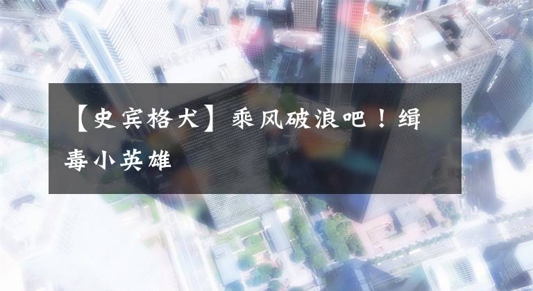 【史宾格犬】乘风破浪吧！缉毒小英雄