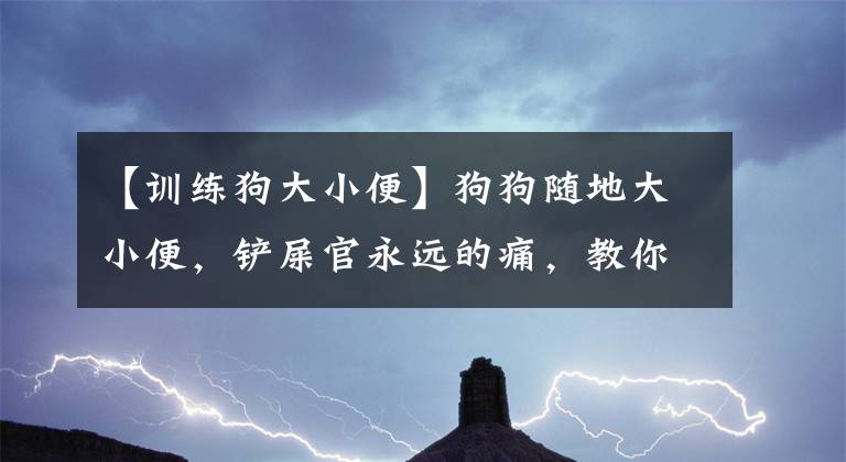 【训练狗大小便】狗狗随地大小便，铲屎官永远的痛，教你如何训练狗狗如厕